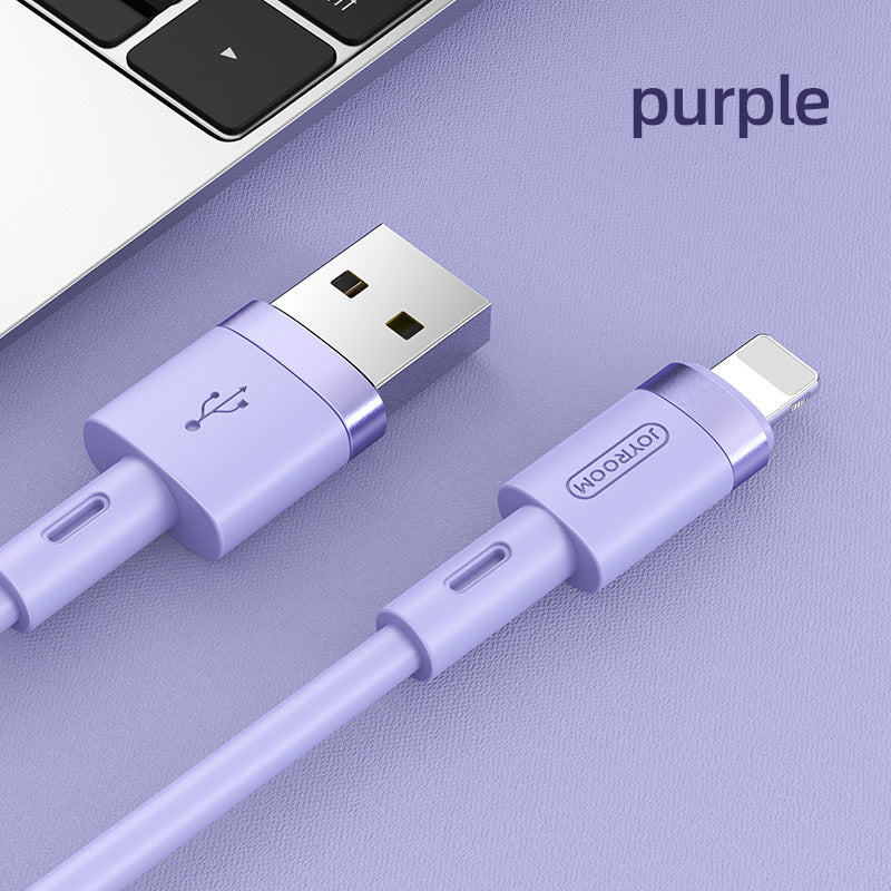 Lighting Port/USB Port Cable Charger