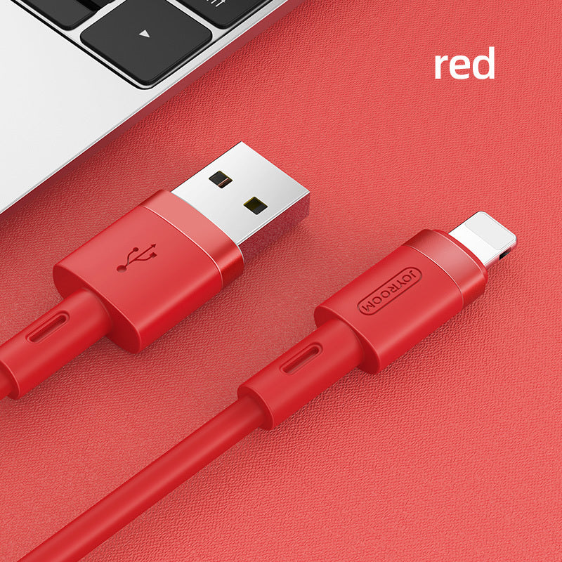 Lighting Port/USB Port Cable Charger