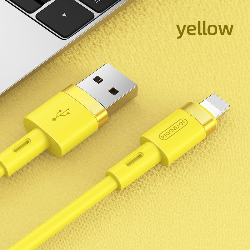 Lighting Port/USB Port Cable Charger